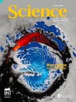 Tạp chí khoa học số  2005-03-11