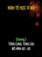 Bài giảng kinh tế vĩ mô - Chương 2 Tổng cung tổng cầu Mô hình AD - AS