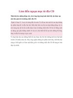 Làm điều ngoạn mục từ đĩa CD doc