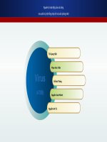 Nguyên lý hoạt động của các dòng  virus phá hủy hệ thống máy tính và cách phòng tránh
