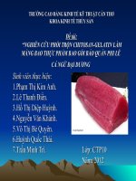 Đề tài: “NGHIÊN CỨU PHỐI TRỘN CHITOSAN-GELATIN LÀM MÀNG BAO THỰC PHẨM BAO GÓI BẢO QUẢN PHI LÊ CÁ NGỪ ĐẠI DƯƠNG pptx