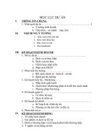 Dự án nhóm hoàn chỉnh - Công viên trí tuệ Pí Po (Thi thuyết trình)