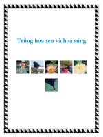 Trồng hoa sen và hoa súng pptx