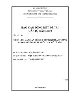 chọn lọc và nhân giống 6 dòng keo tai tượng bằng phương pháp nuôi cấy mô tế bào