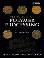 principles of polymer processing