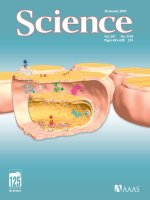 Tạp chí khoa học số  2005-01-28