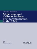molecular and cellular biology of neuroprotection in the cns - christian alzheimer