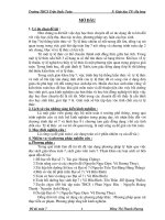 SKKN Phương pháp giải một số bài tạp dựa vào tính chất của tỷ lệ thức