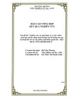 Nghiên cứu các giải pháp và cơ chế, chính sách hạn chế tác động (ảnh hưởng) của hệ thống rào cản kỹ thuật đối với các sản phẩm xuất khẩu ngành da giầy