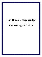 Đàn H’roa – nhạc cụ độc đáo của người Cơ tu pot