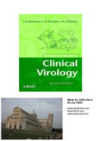 a practical guide to clinical virology