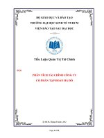 Tiểu Luận Quản Trị Tài Chính PHÂN TÍCH TÀI CHÍNH CÔNG TY CỔ PHẦN TẬP ĐOÀN HÀ ĐÔ