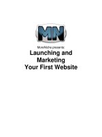 succesfully launching and marketing your first website