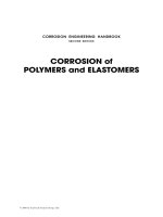 corrosion of polymers and elastomers