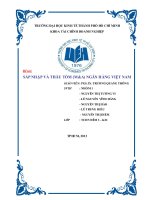 Tiểu luận: Sáp nhập và thâu tóm (M&A) ngân hàng Việt Nam