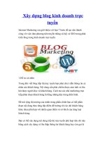 Xây dựng blog kinh doanh trực tuyến doc