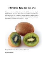 Những tác dụng của trái kiwi pot