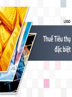 Thuế tiêu thụ đặc biệt