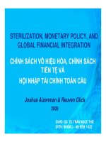 Chính sách vô hiệu hóa, chính sách tiền tệ và hội nhập tài chính toàn cầu
