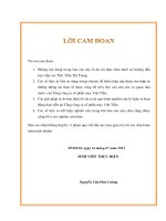 giải pháp nâng cao hiệu quả hoạt động nhập khẩu máy móc, thiết bị ngành may công nghiệp tại tổng công ty cổ phần may việt tiến