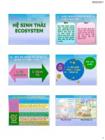 Bài 7 Hệ sinh thái Ecosystem pdf