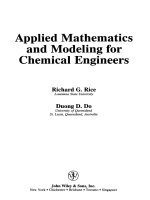 rice applied mathematics and modeling for chemical engineers