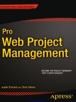 pro web project management