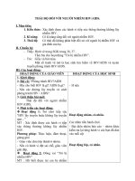 Giáo án bài Thái độ với người HIV-AIDS - Khoa học 5 - GV:L.N.Tân