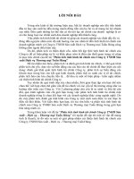 Phân tích tình hình tài chính của Công ty TNHH Sản xuất Dịch vụ Thương mại Tuấn Hùng