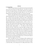 NGHIÊN CỨU CHỌN CHỦNG VI KHUẨN LACTIC ĐỂ SẢN XUẤT AXÍT PHENYLLACTIC  ỨNG DỤNG TRONG BẢO QUẢN NÔNG SẢN VÀ THỰC PHẨM     LUẬN VĂN THẠC SĨ KHOA HỌC SINH HỌC