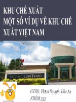 khu chế xuất một số ví dụ về khu chế xuất việt nam