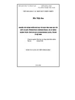 Nghiên cứu thành phần hoá học và hoạt tính sinh học cây diếp cá suối Gymnotheca Chinensis Decne và lá thành ngạnh trơn Cratoxylum cochinchinense (Lour.) Blume ở Việt Nam