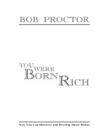 You were born rich book