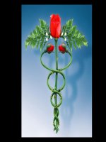 Phương pháp giáo dục nâng cao sức khỏe