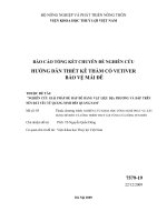 CHUYÊN ĐỀ NGHIÊN CỨU HƯỚNG DẪN THIẾT KÊ THẢM CỎ VETIVER BẢO VỆ MÁI ĐÊ