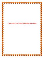 Chữa bệnh gút bằng bài thuốc thảo dược. docx