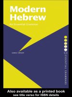  modern hebrew an essential grammar