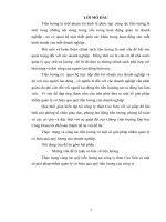 thực  trạng và công tác tiền lương và một số giải pháp nhằm quản lý có hiệu quả quỹ lương của doanh nghiệp