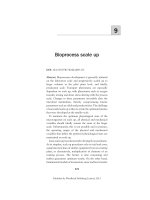 02 bioprocess scale up