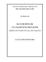 Quan hệ dòng họ của người Nùng Phàn Slình (Nghiên cứu ở huyện Cao Lộc, tỉnh Lạng Sơn)