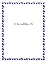 những bài ca dao lưu luyến pptx