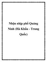 Nhộn nhịp phố Quảng Ninh (Hà Khẩu - Trung Quốc) doc