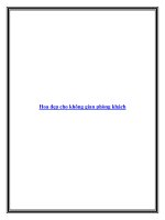 Hoa đẹp cho không gian phòng khách docx