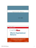 Chapter 1: What Is Organizational Behavior pdf