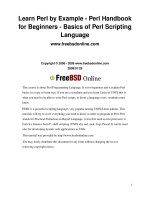 learn perl by example