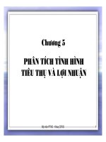 Chuong 5 phân tích hoạt động kinh doanh: phân tích tình hình tiêu thụ và lợi nhuận