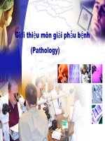 Giới thiệu môn giải phẫu bệnh pot