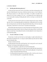 bài thảo luận thiết kế và triển khai hệ thống nhận diện thương hiệu nokia