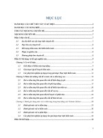 nhận dạng và phân tích những vấn đề có mức rủi ro tiềm tàng cao có thể tác động đến cuộc kiểm toán hoạt động vietnam airlines