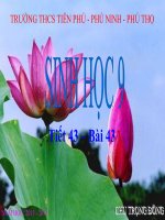 Tiết 43 Ảnh hưởng của ánh sáng và độ ẩm lên đời sống của sinh vật